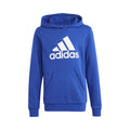 Big Logo Cotton Sweater met capuchon Jongens - blauw, wit