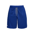 Tech Mesh Shorts Heren - blauw, lichtgrijs