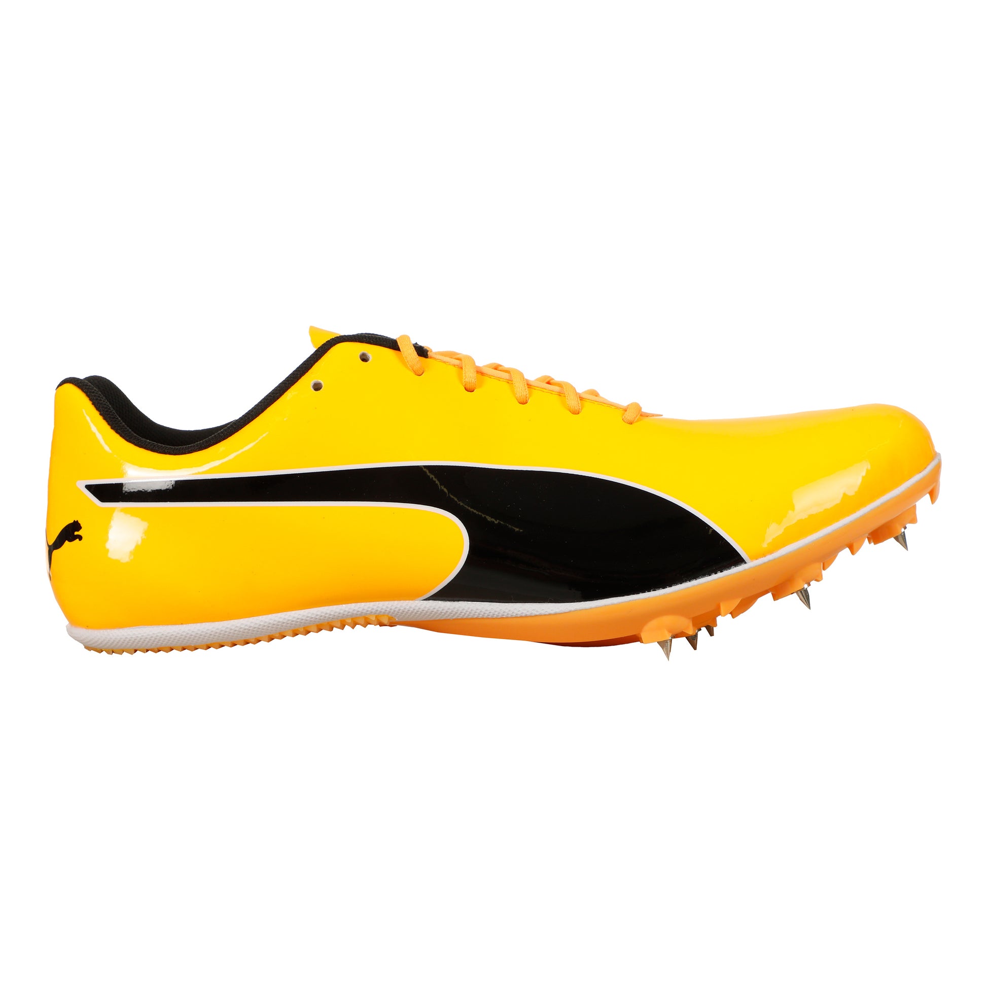Puma EvoSPEED Sprint 14.5 Spikes-Oranje,Zwart