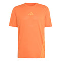 Terrex XPR  Hardloopshirt Heren-oranje