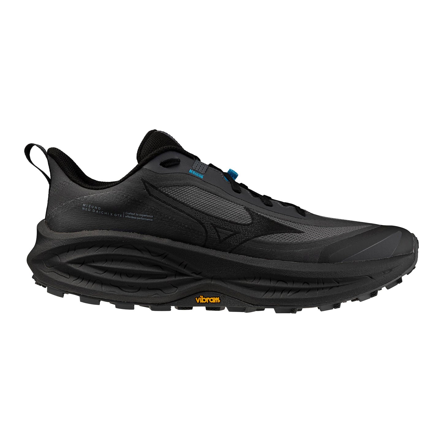 Mizuno Neo Daichi 10 GTX  Trailschoen Heren - donkergrijs, grijs
