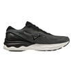 Mizuno