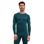 Falke Hardloopkleding Falke Warm Longsleeve Heren - groen, 