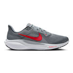 Nike Pegasus 41
