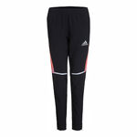 adidas Own The Run Colorblock Pants