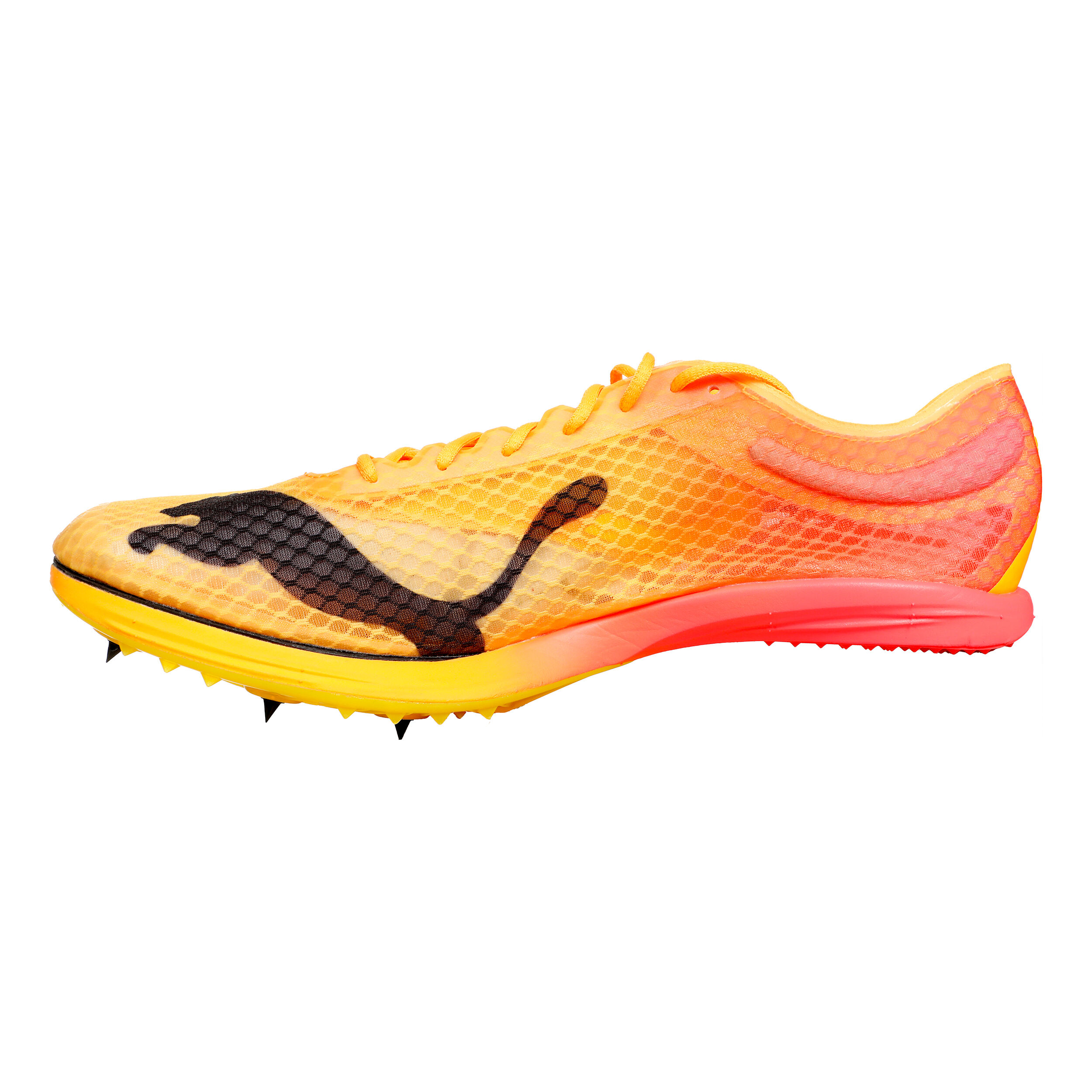 Puma sales evospeed v2