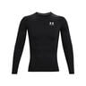 Heatgear Comp Longsleeve Heren-Zwart,Wit