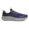 Ride TR2 GTX
