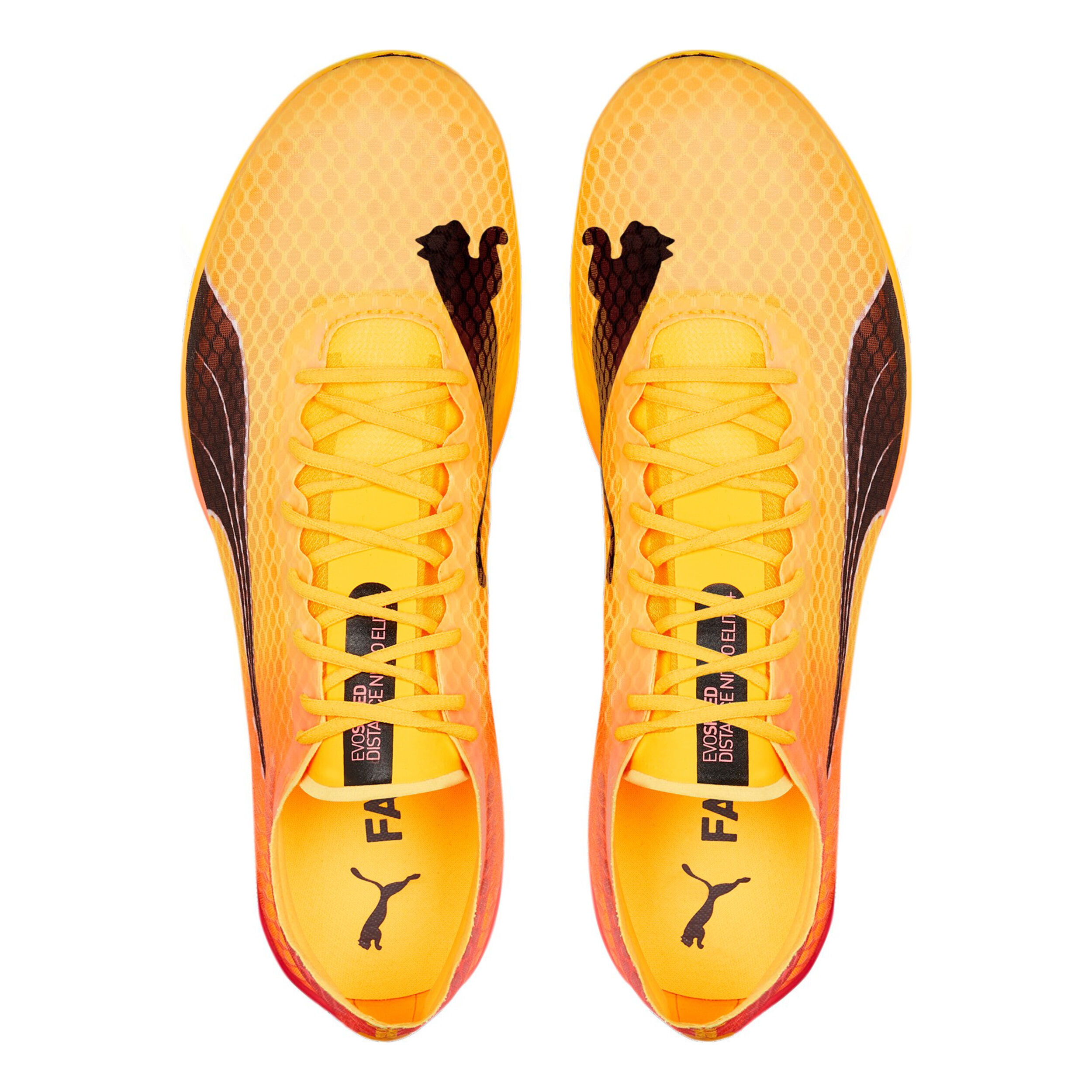 Puma evospeed online discount