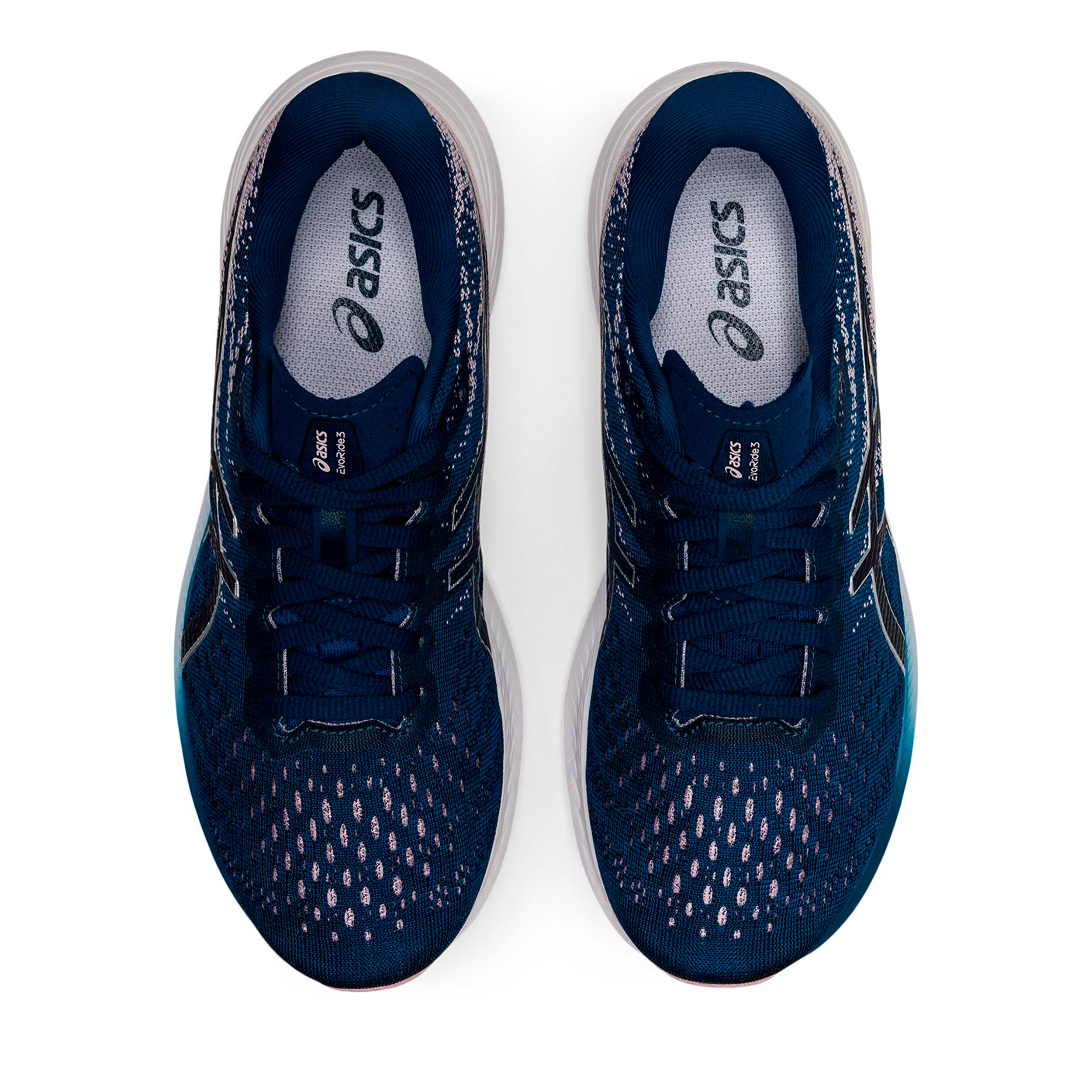 Asics evoride 2025