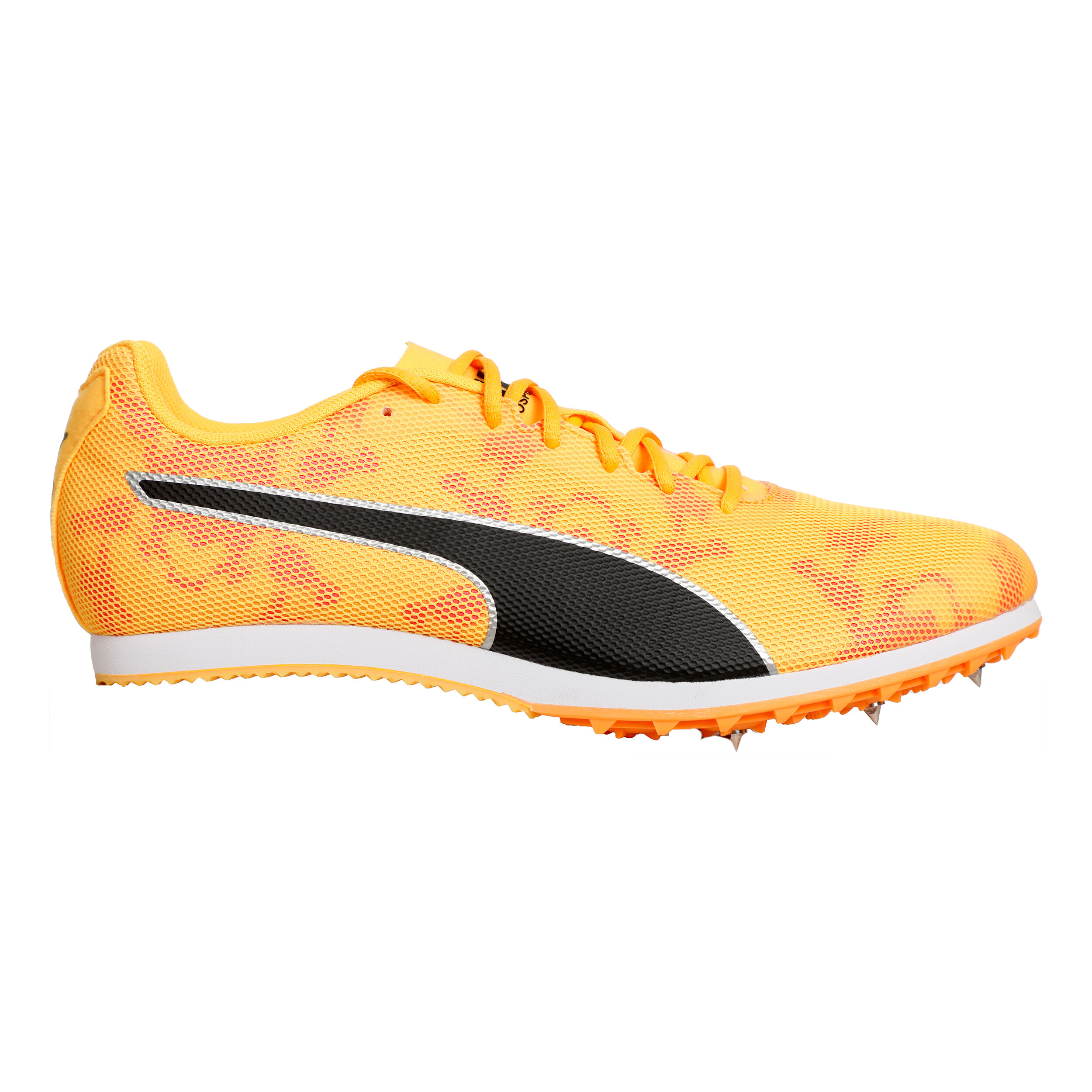 Puma sales evospeed 8