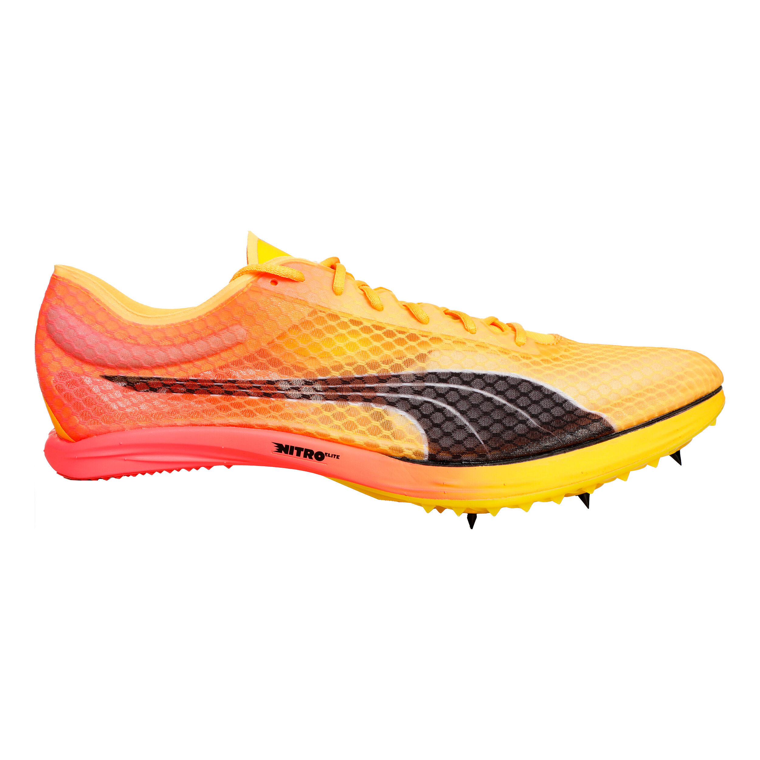 Puma evospeed shop range