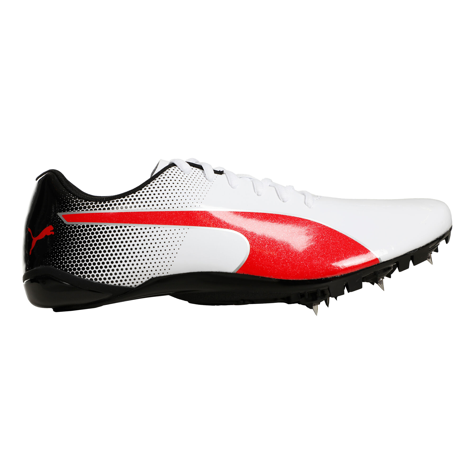 Puma EvoSPEED Prep Sprint Spikes Wit, online kopen | Running Point