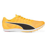 Puma Hardloopschoenen Puma EvoSPEED Distance 11 Spikes-Oranje,Zwart