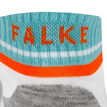 Falke